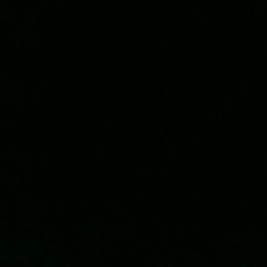 Meet your Posher, Judy